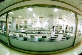 喜旺科技榮膺科技進步獎，技術開發成果獲權威認可